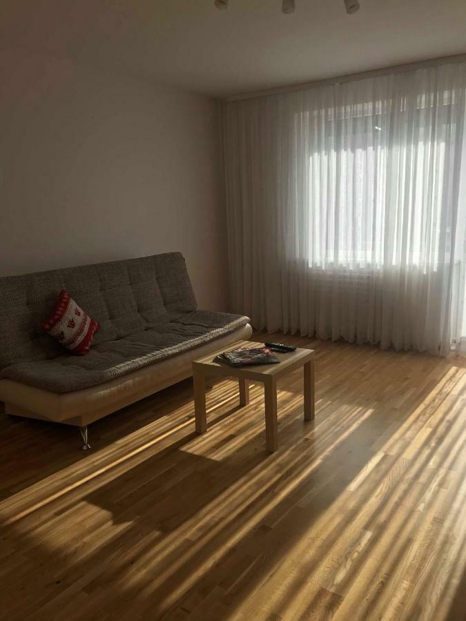 Welcoming Apartment Anykščiai المظهر الخارجي الصورة